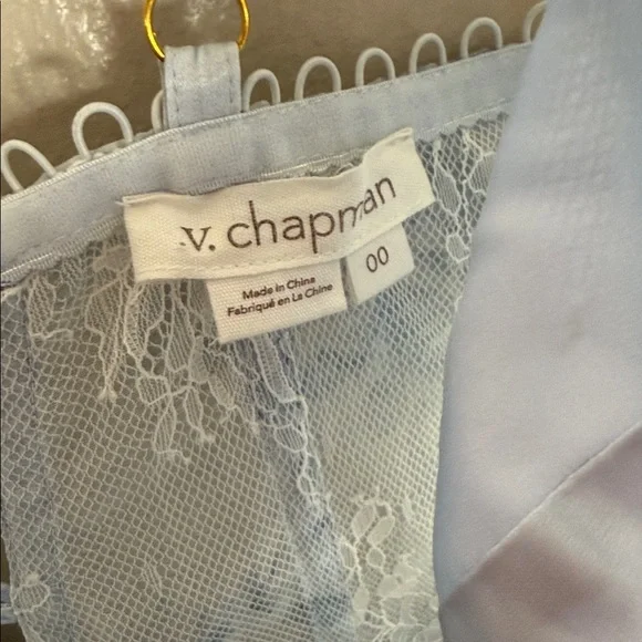 V. Chapman The Jamie Dress in Blue Tapestry Rose - Picture 5 of 10